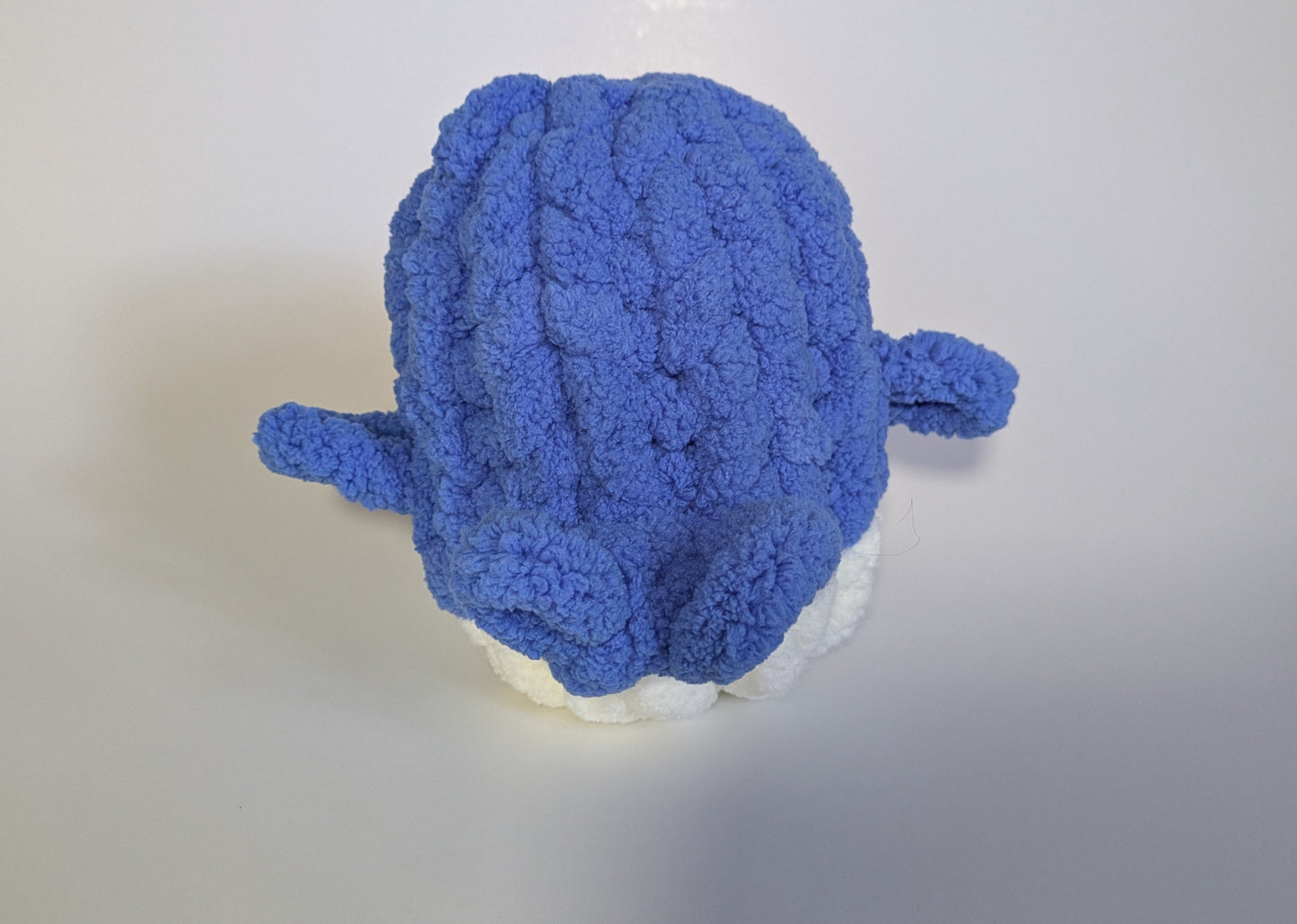 Wise Whale