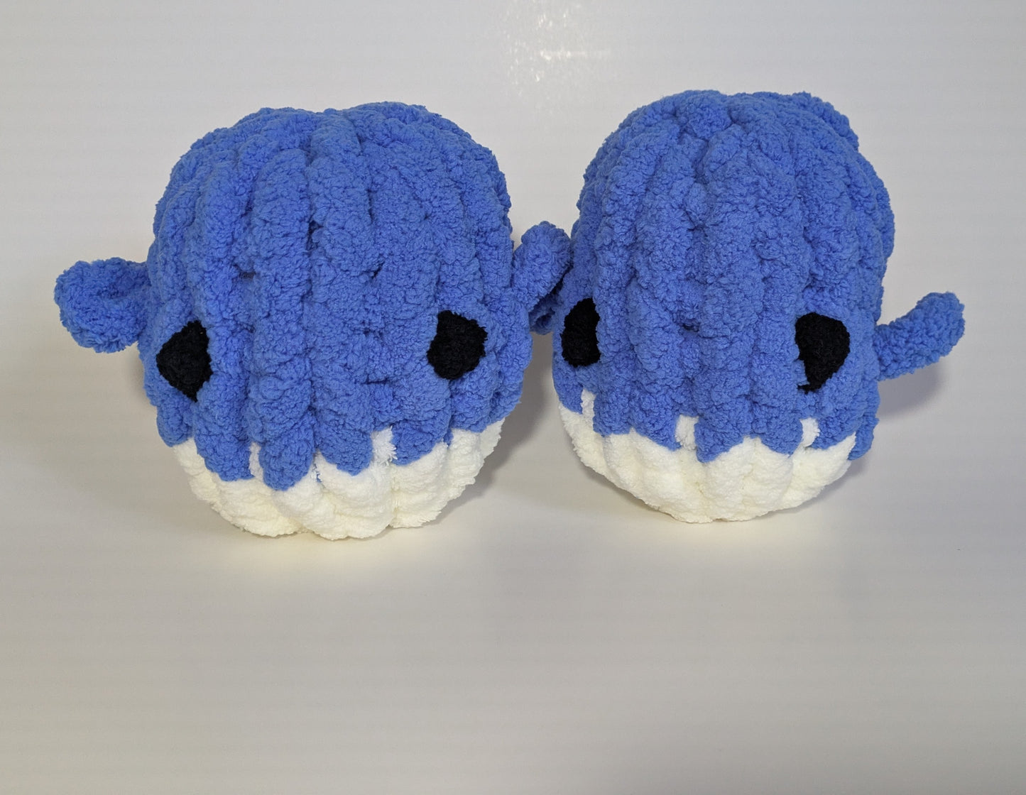 Wise Whale