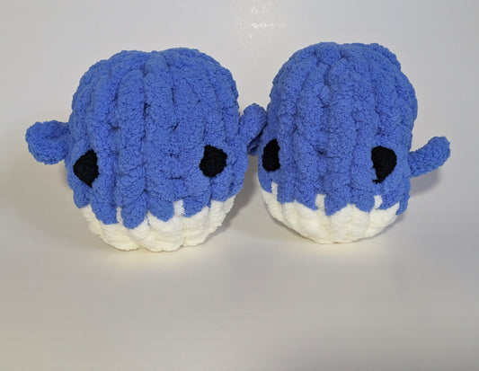 Wise Whale
